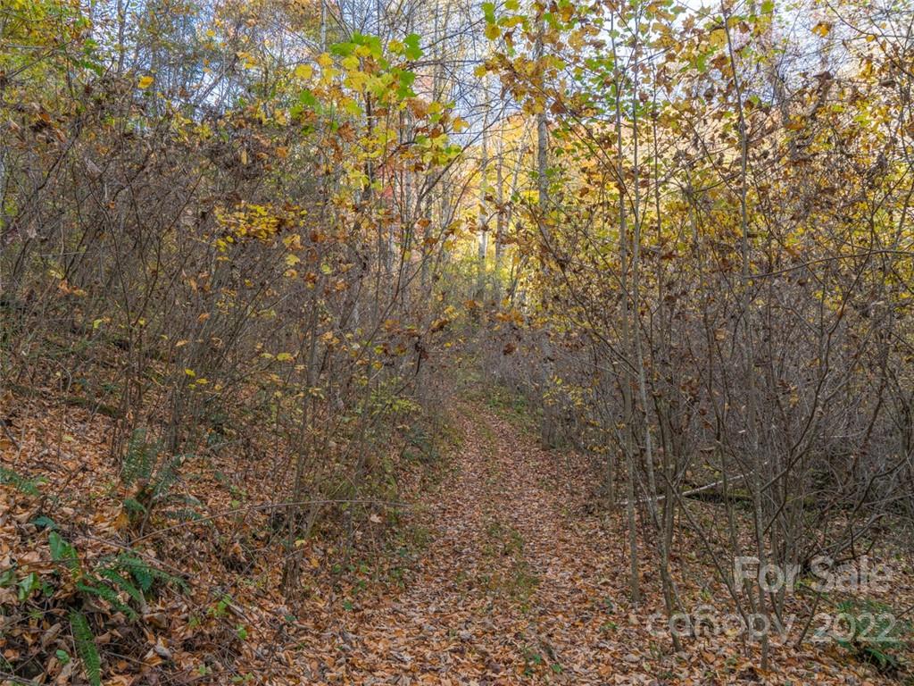 000 Drake Cove Road Mars Hill NC 28754