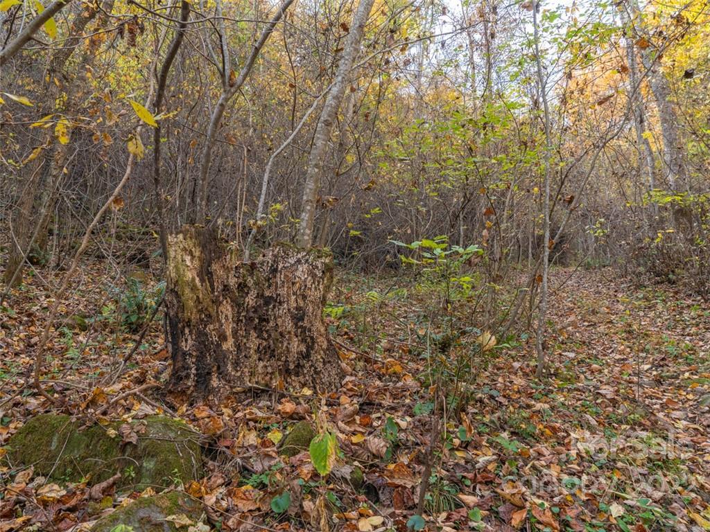 000 Drake Cove Road Mars Hill NC 28754