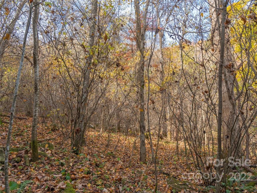 000 Drake Cove Road Mars Hill NC 28754