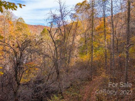 000 Drake Cove Road Mars Hill NC 28754