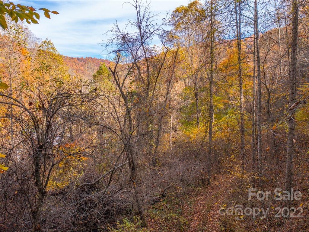 000 Drake Cove Road Mars Hill NC 28754