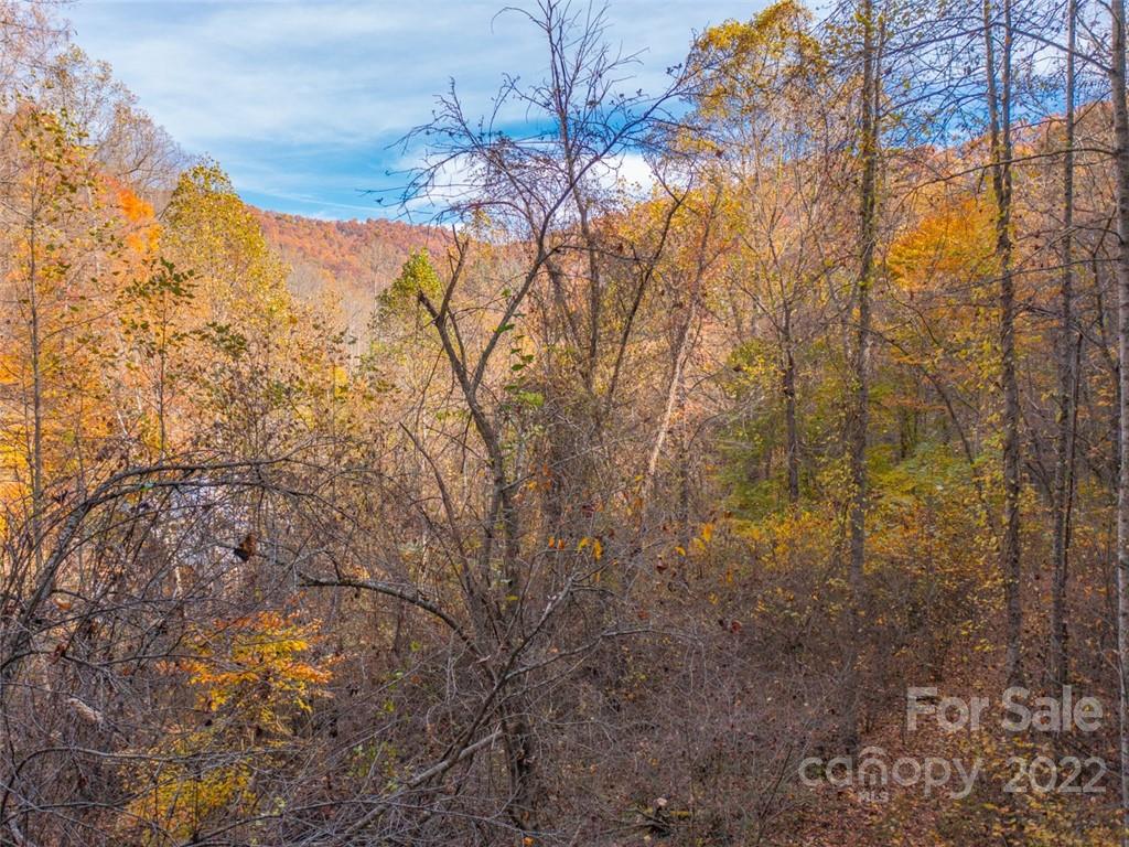 000 Drake Cove Road Mars Hill NC 28754