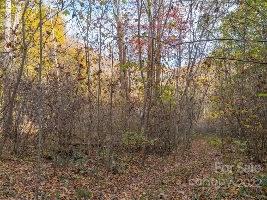 000 Drake Cove Road Mars Hill NC 28754