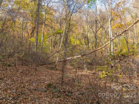 000 Drake Cove Road Mars Hill NC 28754