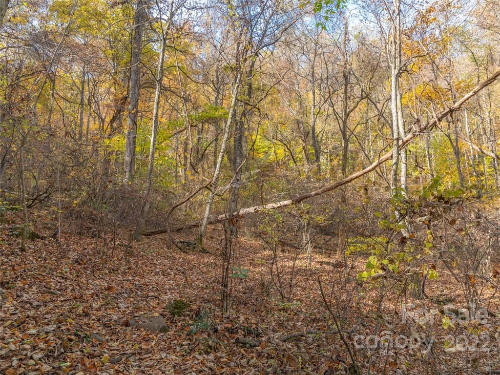 000 Drake Cove Road Mars Hill NC 28754