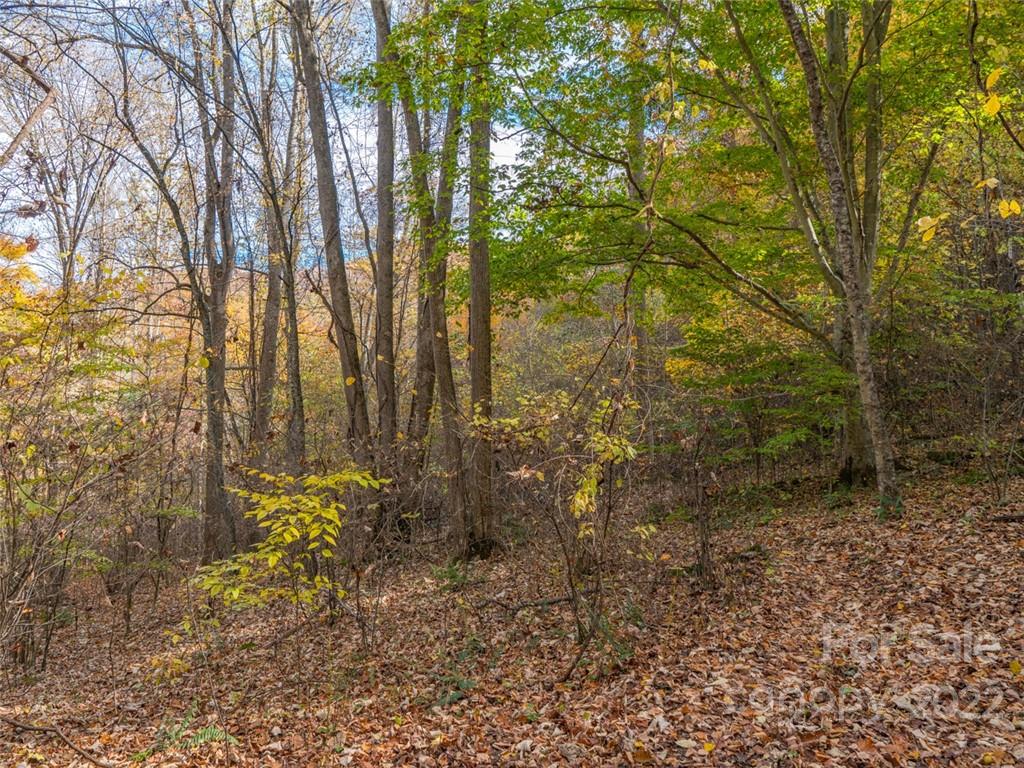 000 Drake Cove Road Mars Hill NC 28754