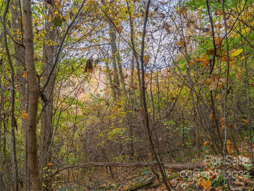 000 Drake Cove Road Mars Hill NC 28754