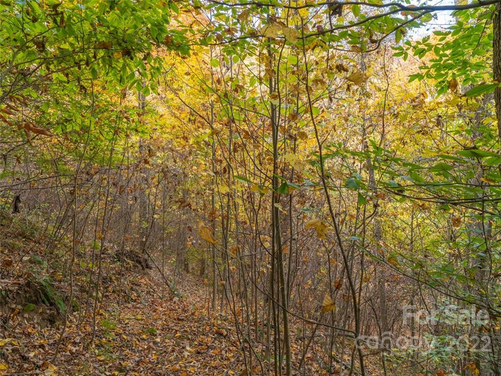 000 Drake Cove Road Mars Hill NC 28754