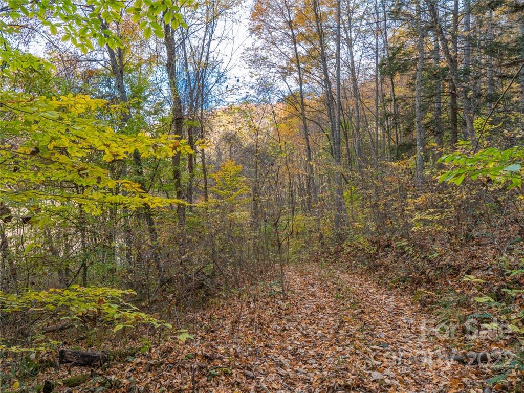 000 Drake Cove Road Mars Hill NC 28754