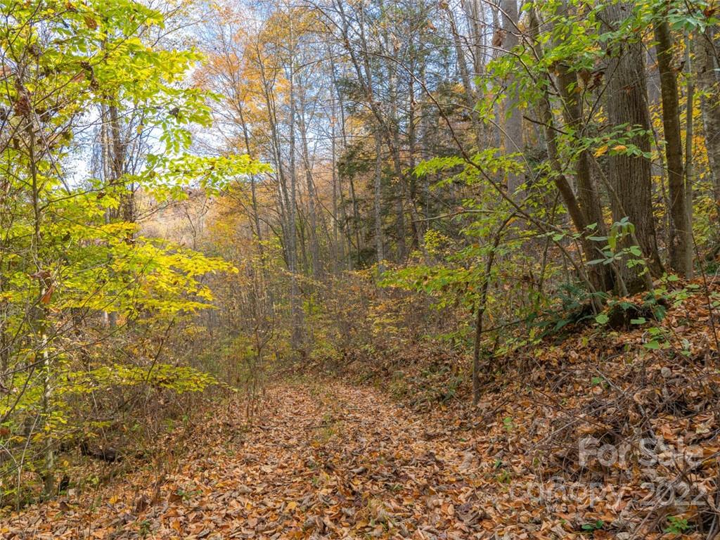 000 Drake Cove Road Mars Hill NC 28754