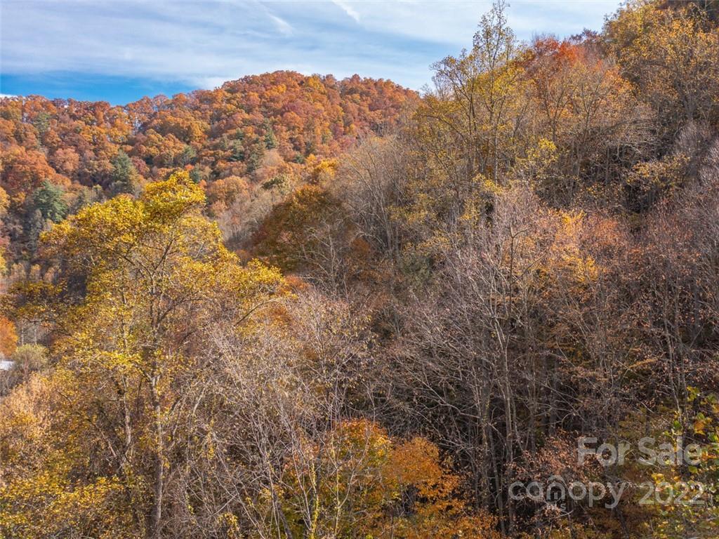 000 Drake Cove Road Mars Hill NC 28754