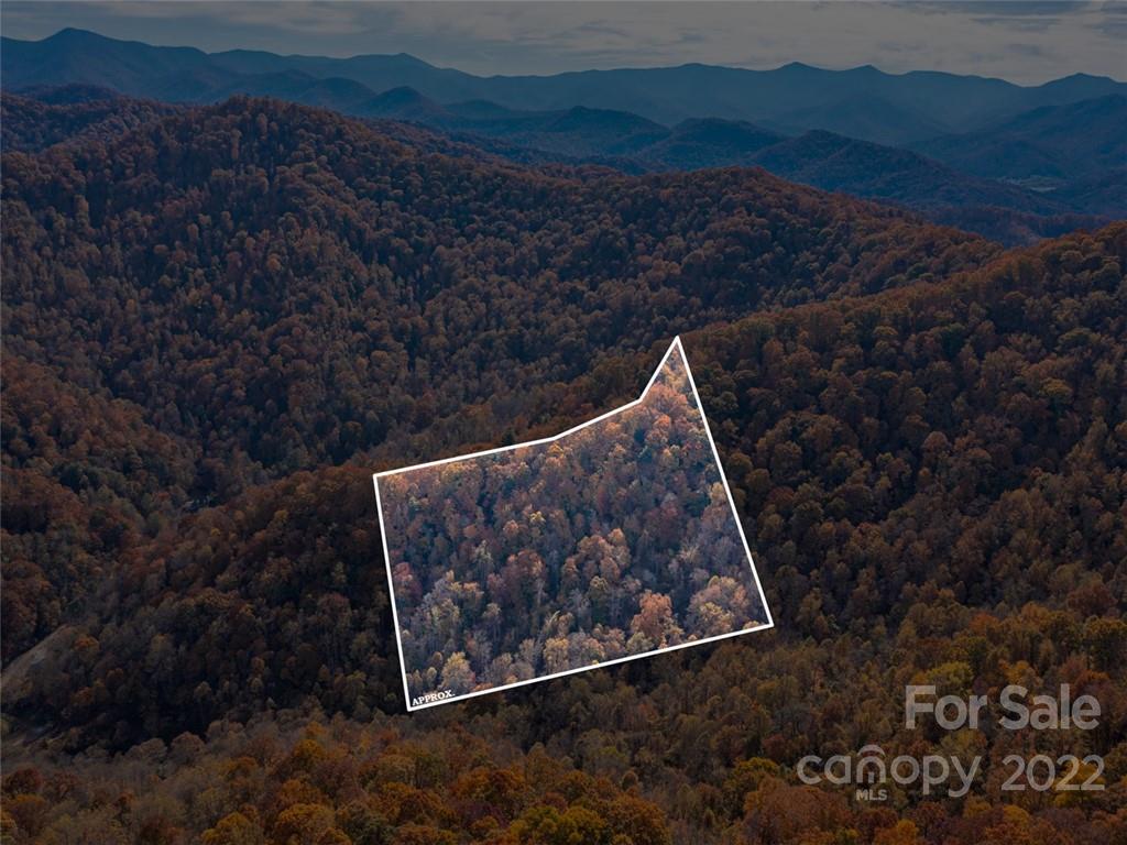 000 Drake Cove Road Mars Hill NC 28754