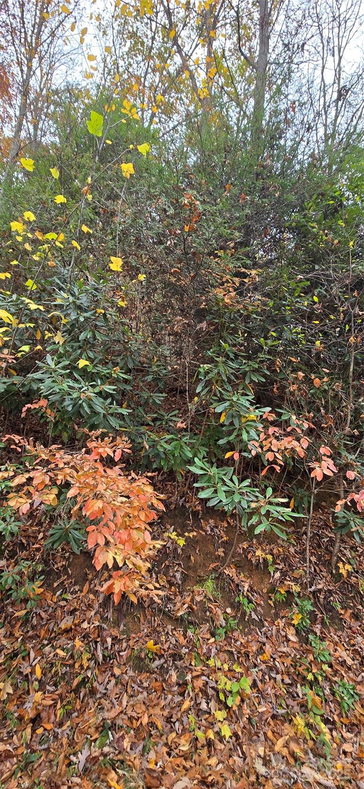 62 Turkey Hollow Court Waynesville NC 28785