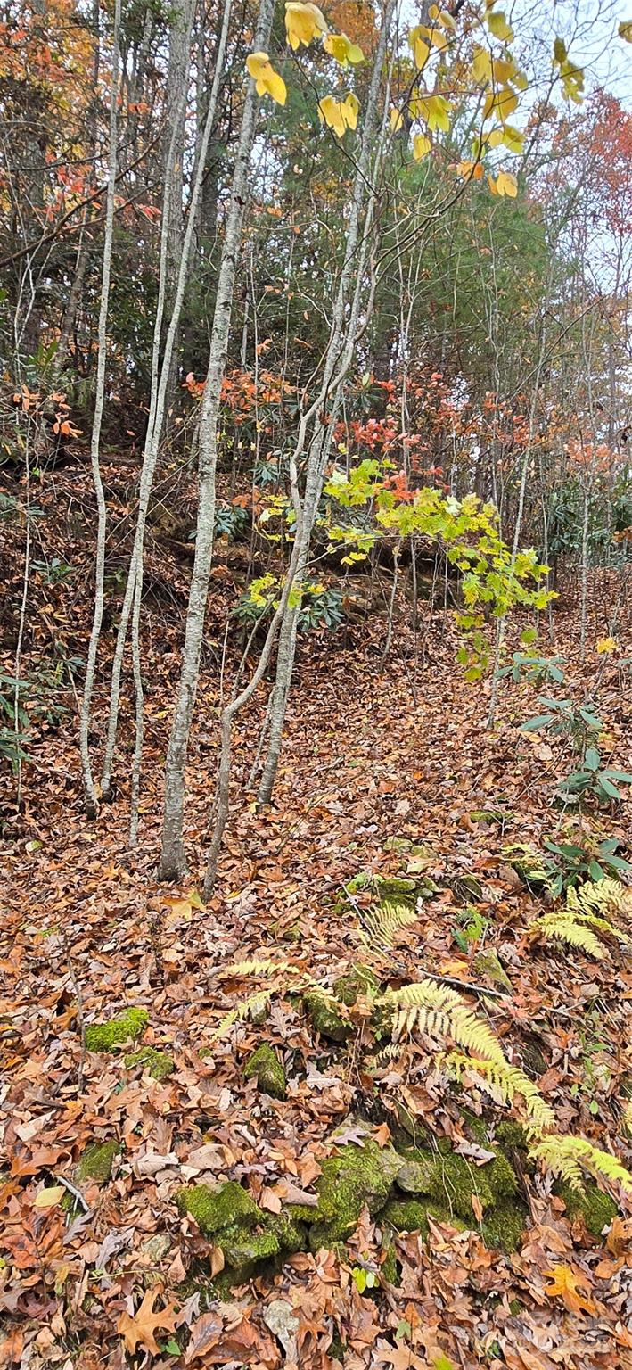 62 Turkey Hollow Court Waynesville NC 28785
