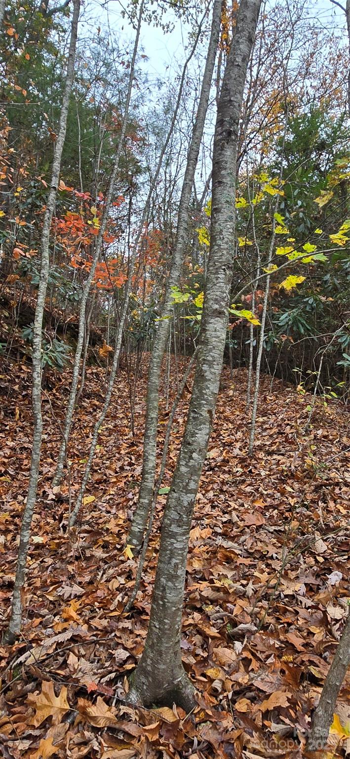 62 Turkey Hollow Court Waynesville NC 28785
