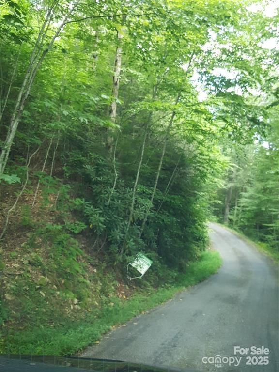 62 Turkey Hollow Court Waynesville NC 28785