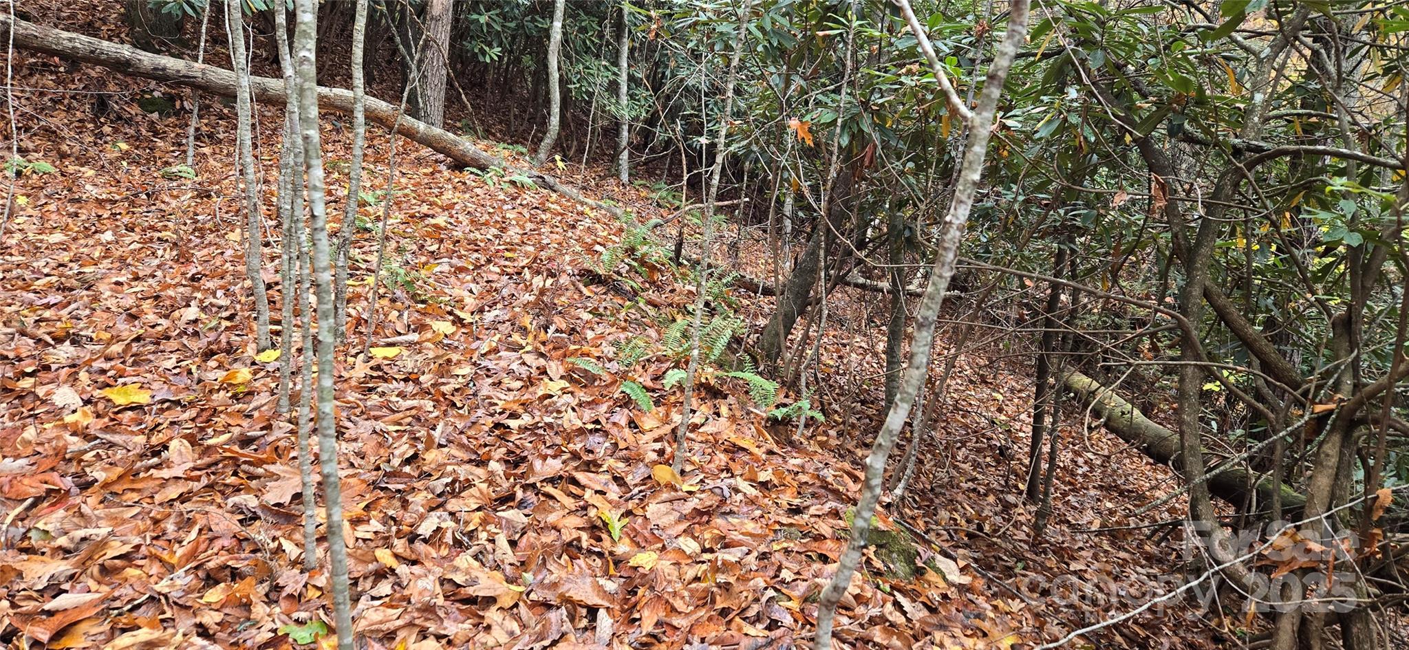 62 Turkey Hollow Court Waynesville NC 28785