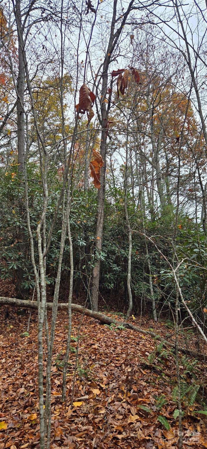 62 Turkey Hollow Court Waynesville NC 28785
