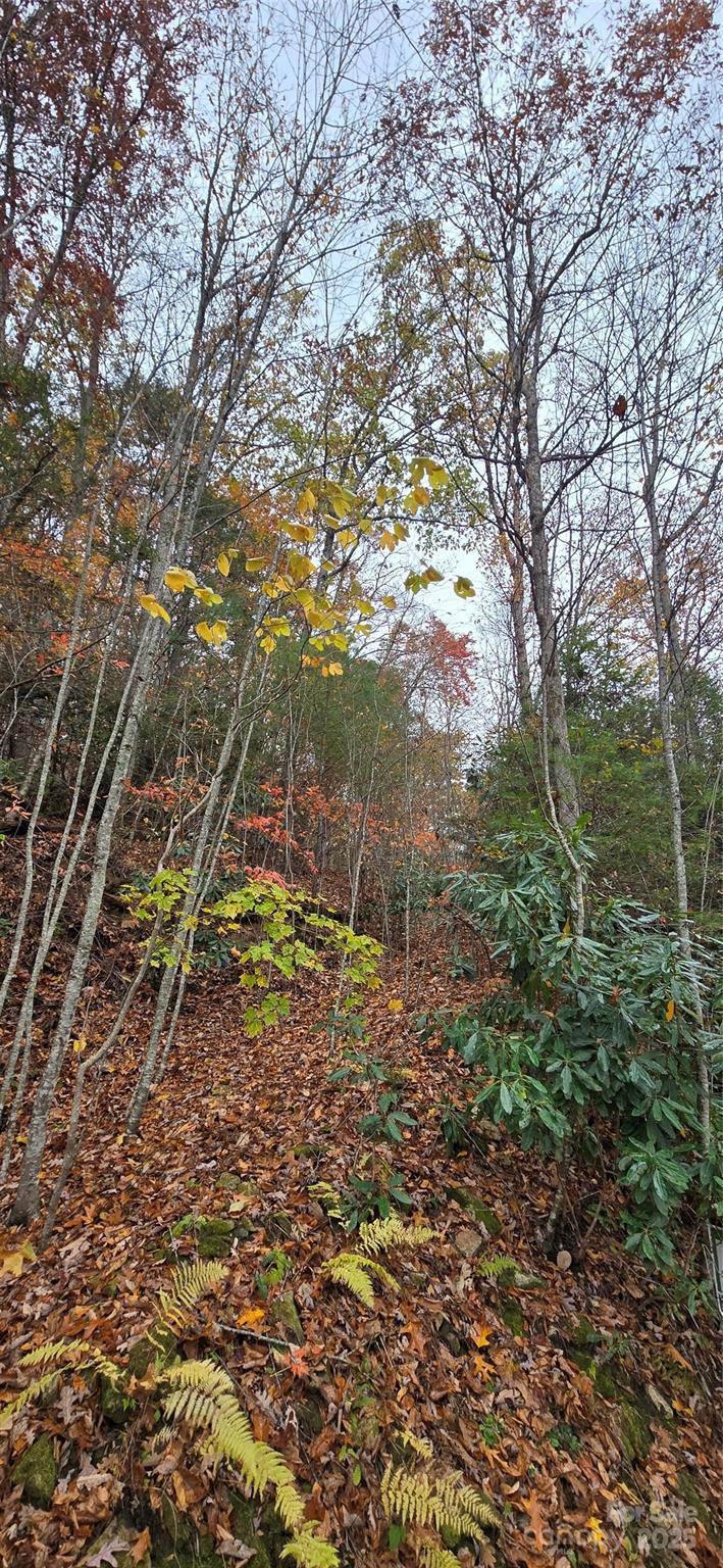 62 Turkey Hollow Court Waynesville NC 28785