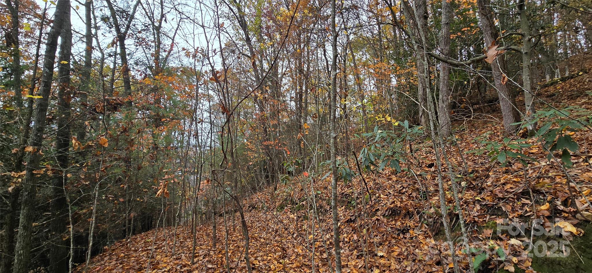 62 Turkey Hollow Court Waynesville NC 28785