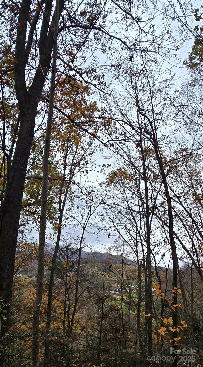 62 Turkey Hollow Court Waynesville NC 28785