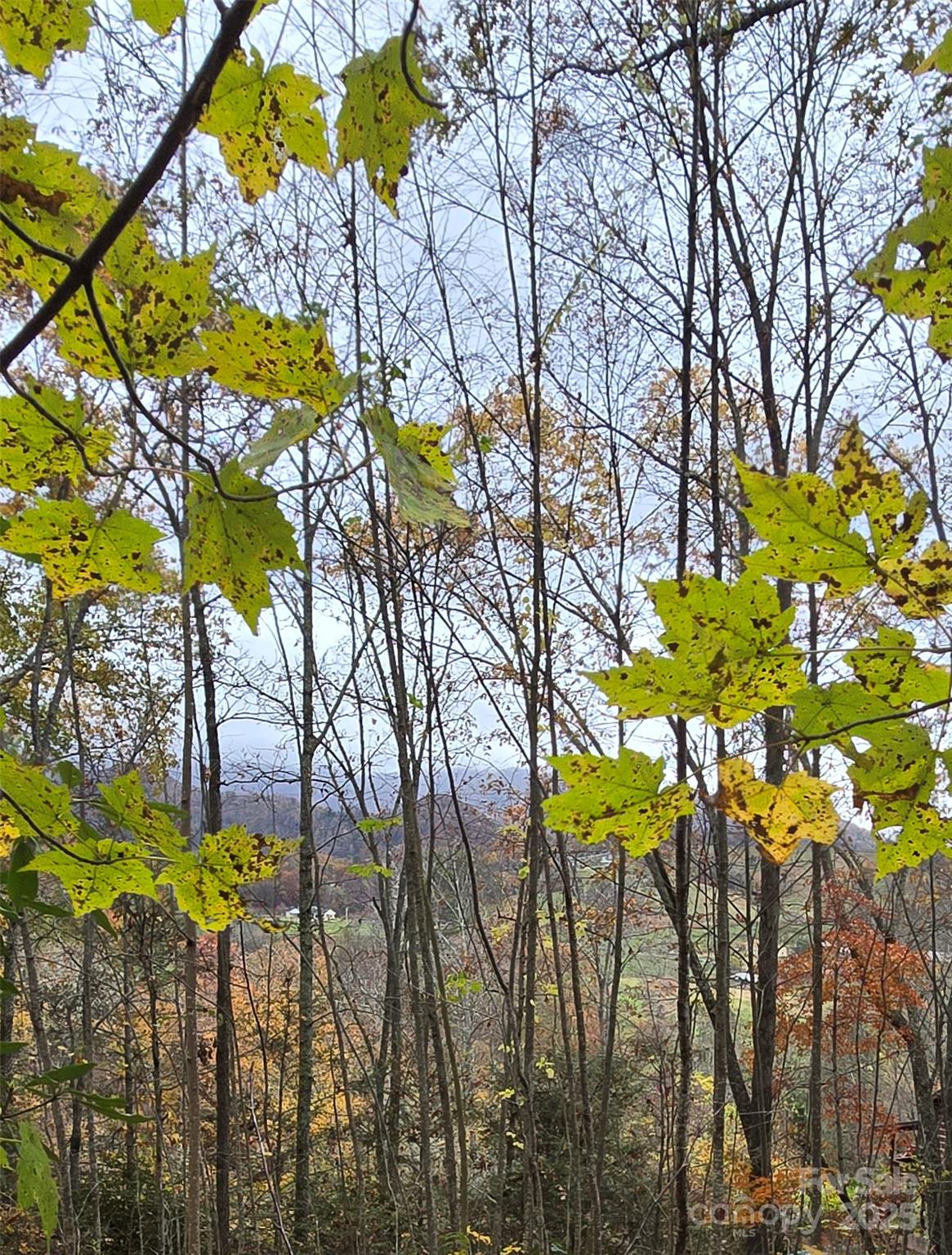 62 Turkey Hollow Court Waynesville NC 28785