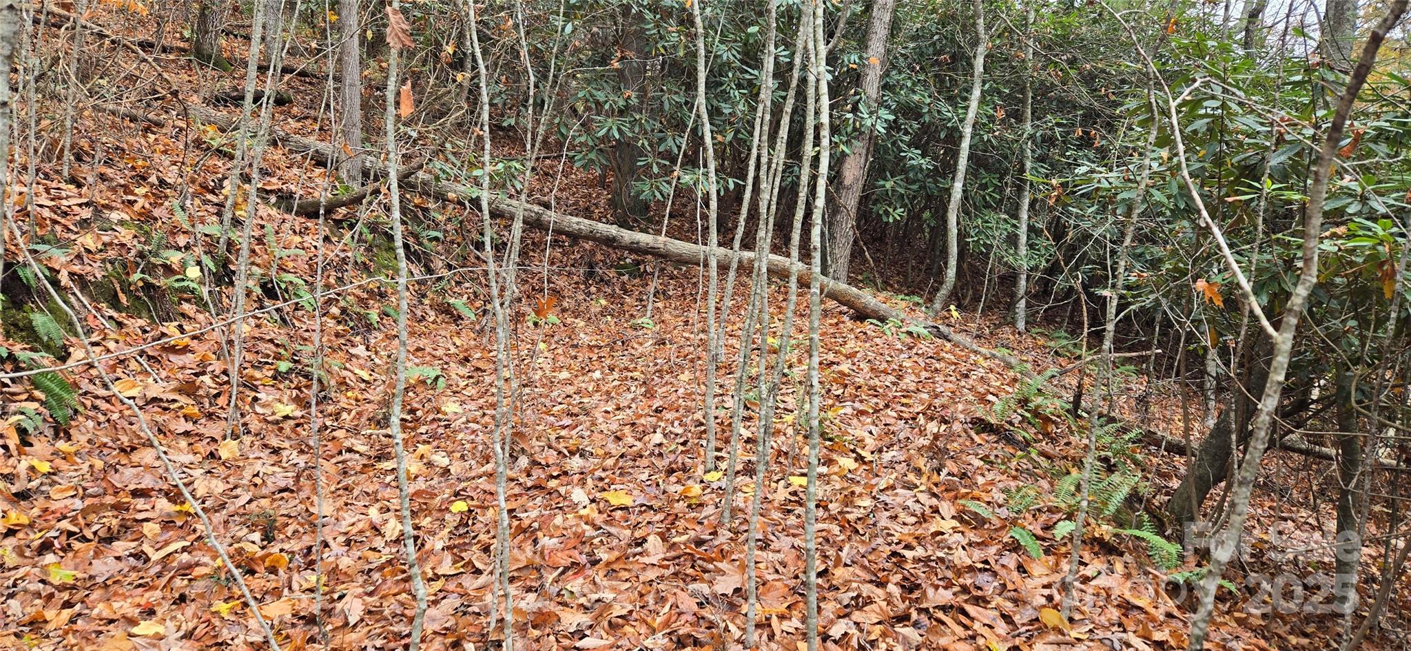 62 Turkey Hollow Court Waynesville NC 28785