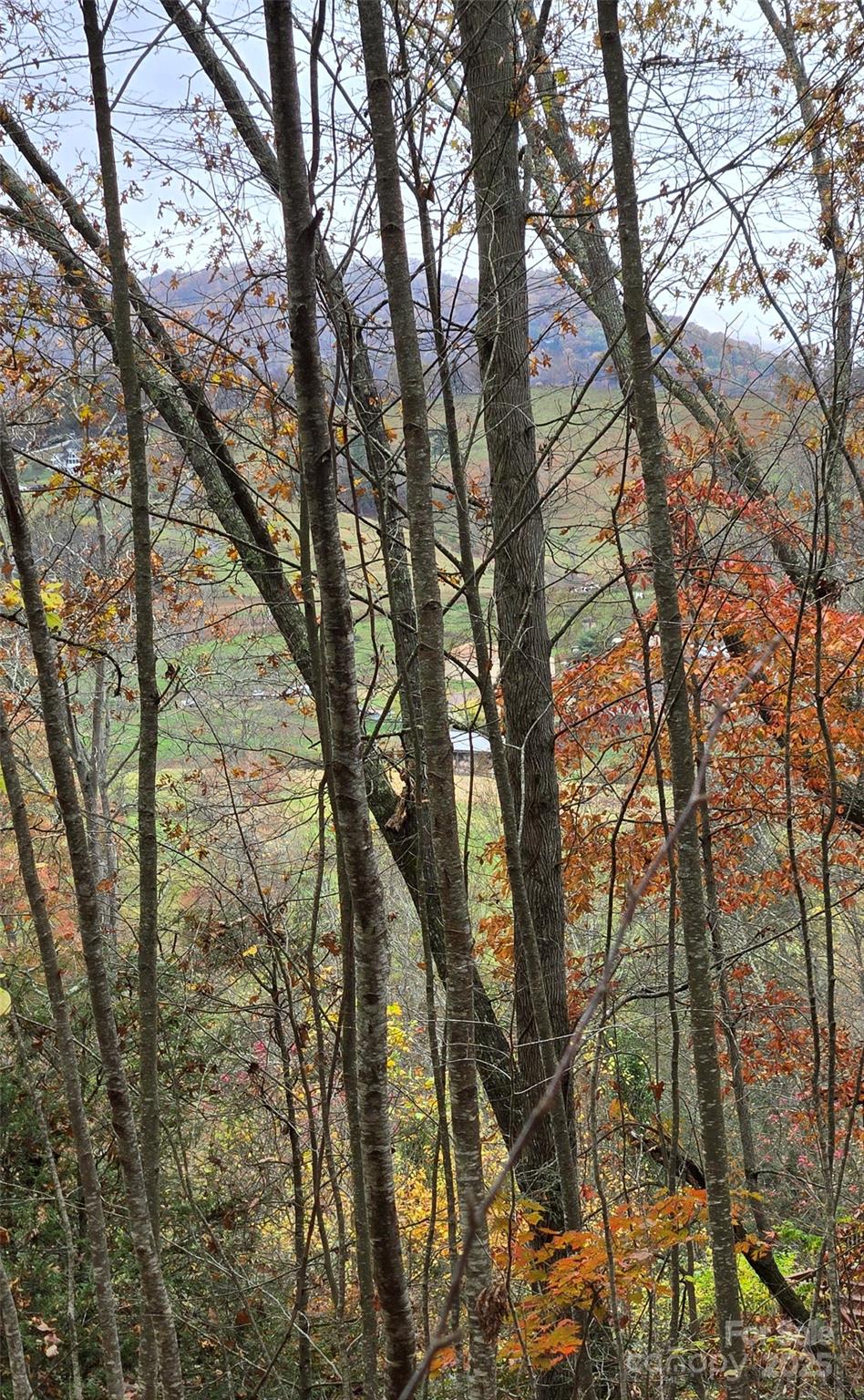 62 Turkey Hollow Court Waynesville NC 28785