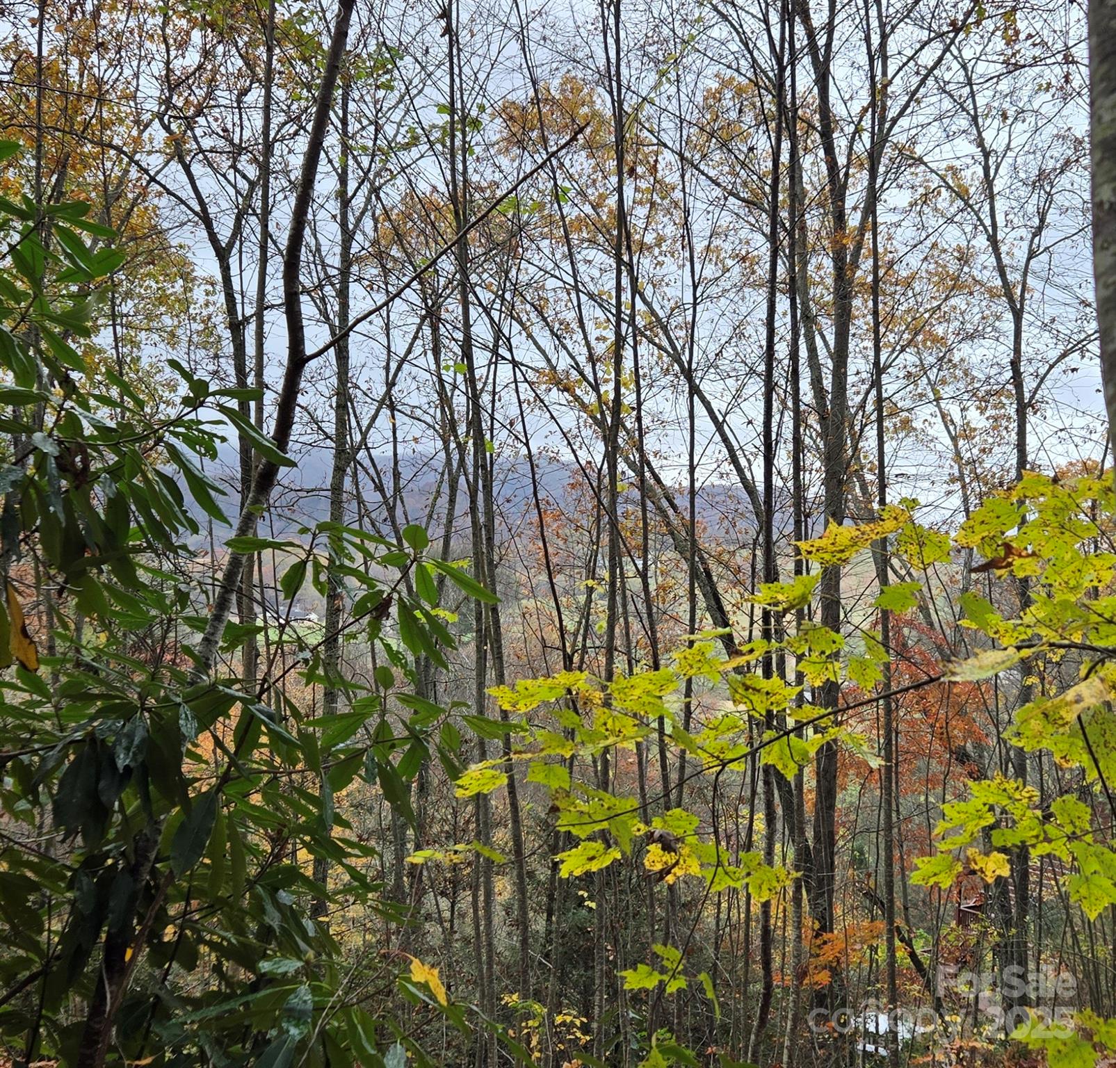 62 Turkey Hollow Court Waynesville NC 28785