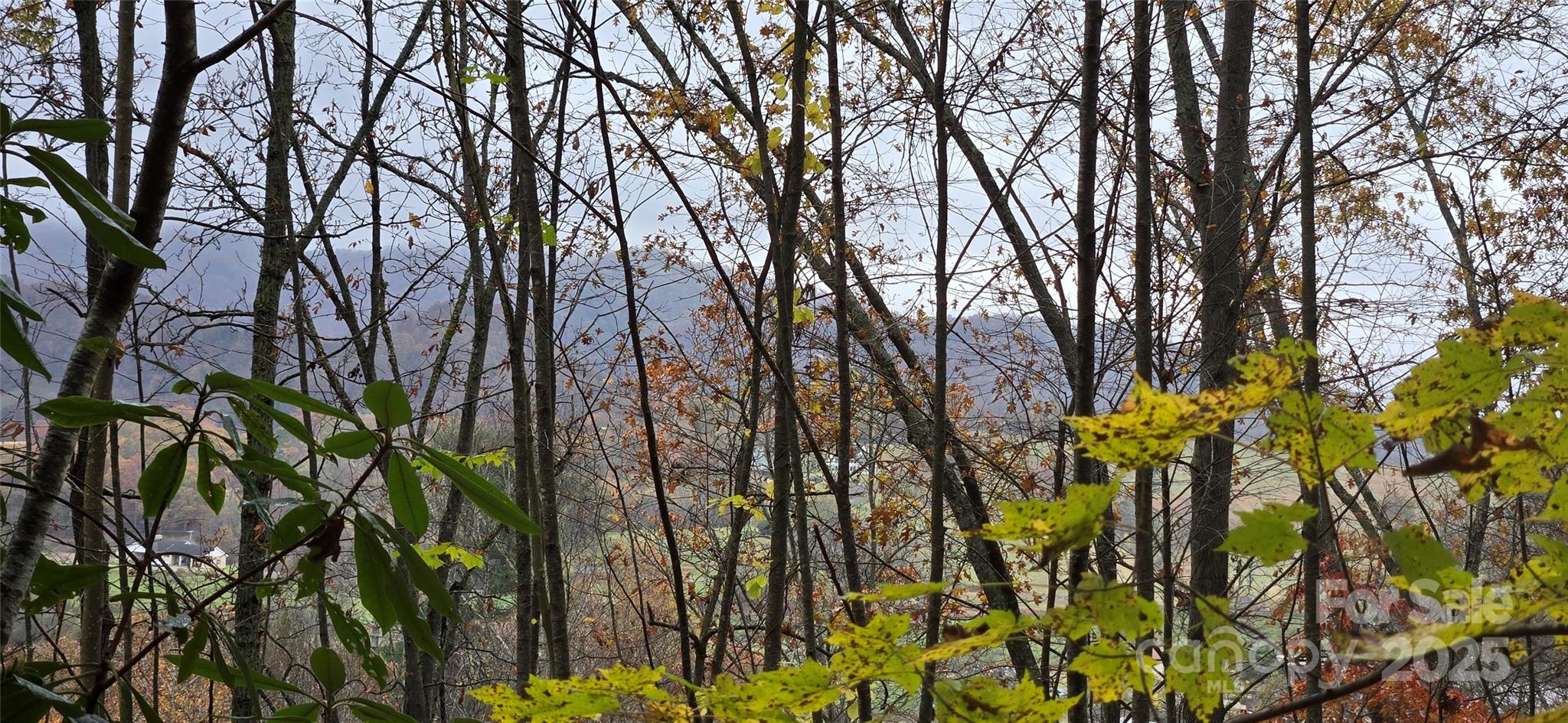 62 Turkey Hollow Court Waynesville NC 28785