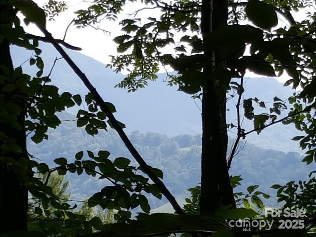 62 Turkey Hollow Court Waynesville NC 28785