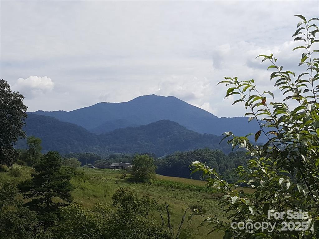62 Turkey Hollow Court Waynesville NC 28785