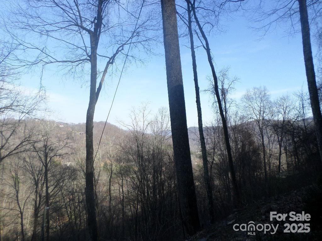 62 Turkey Hollow Court Waynesville NC 28785