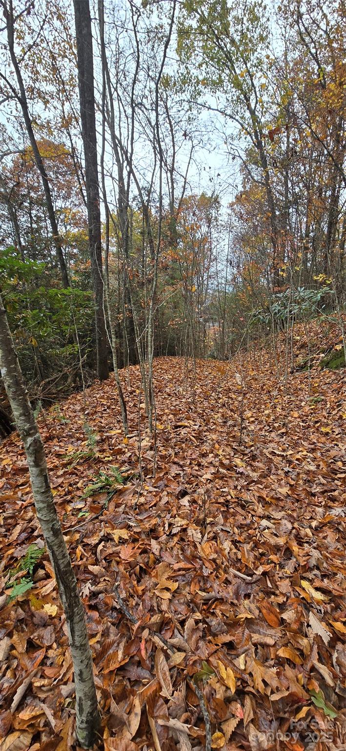 62 Turkey Hollow Court Waynesville NC 28785