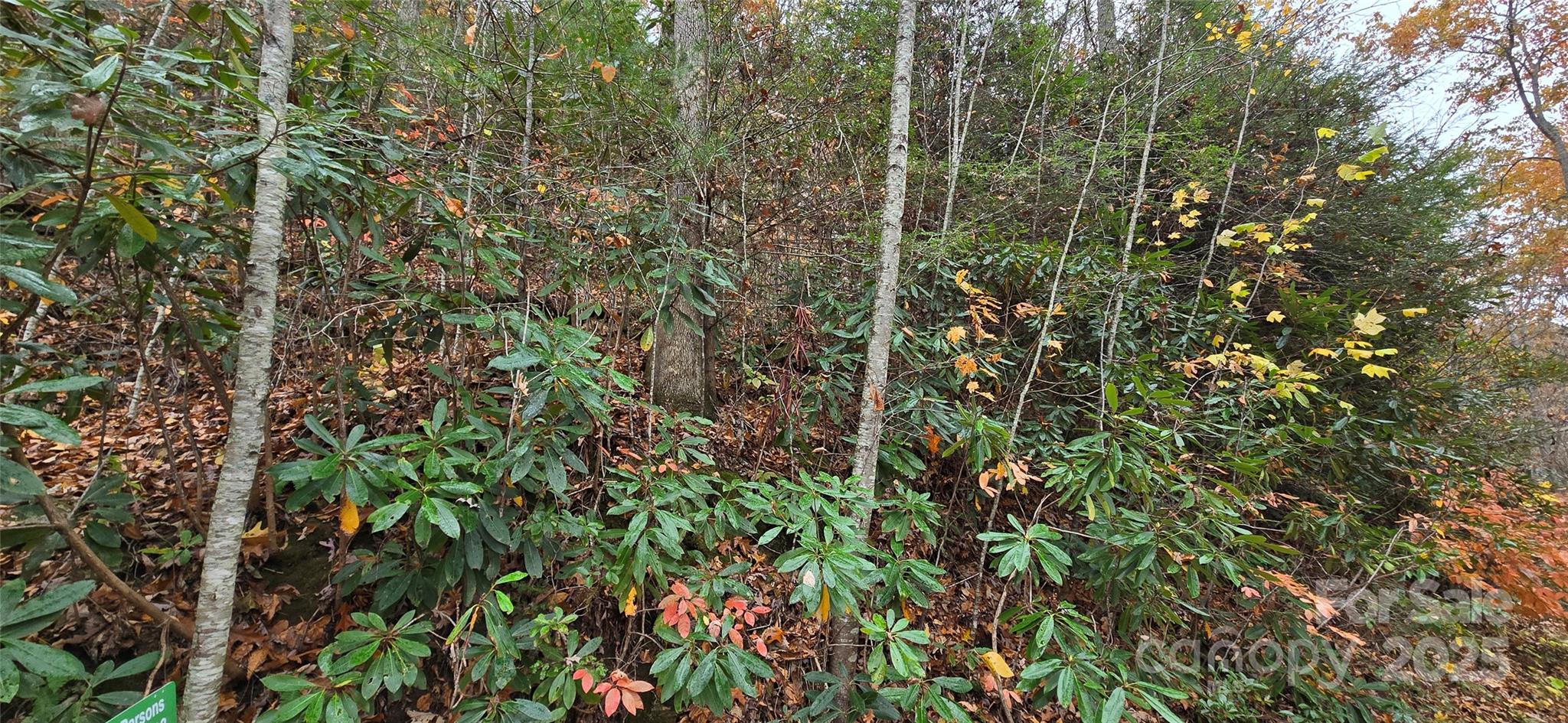 62 Turkey Hollow Court Waynesville NC 28785
