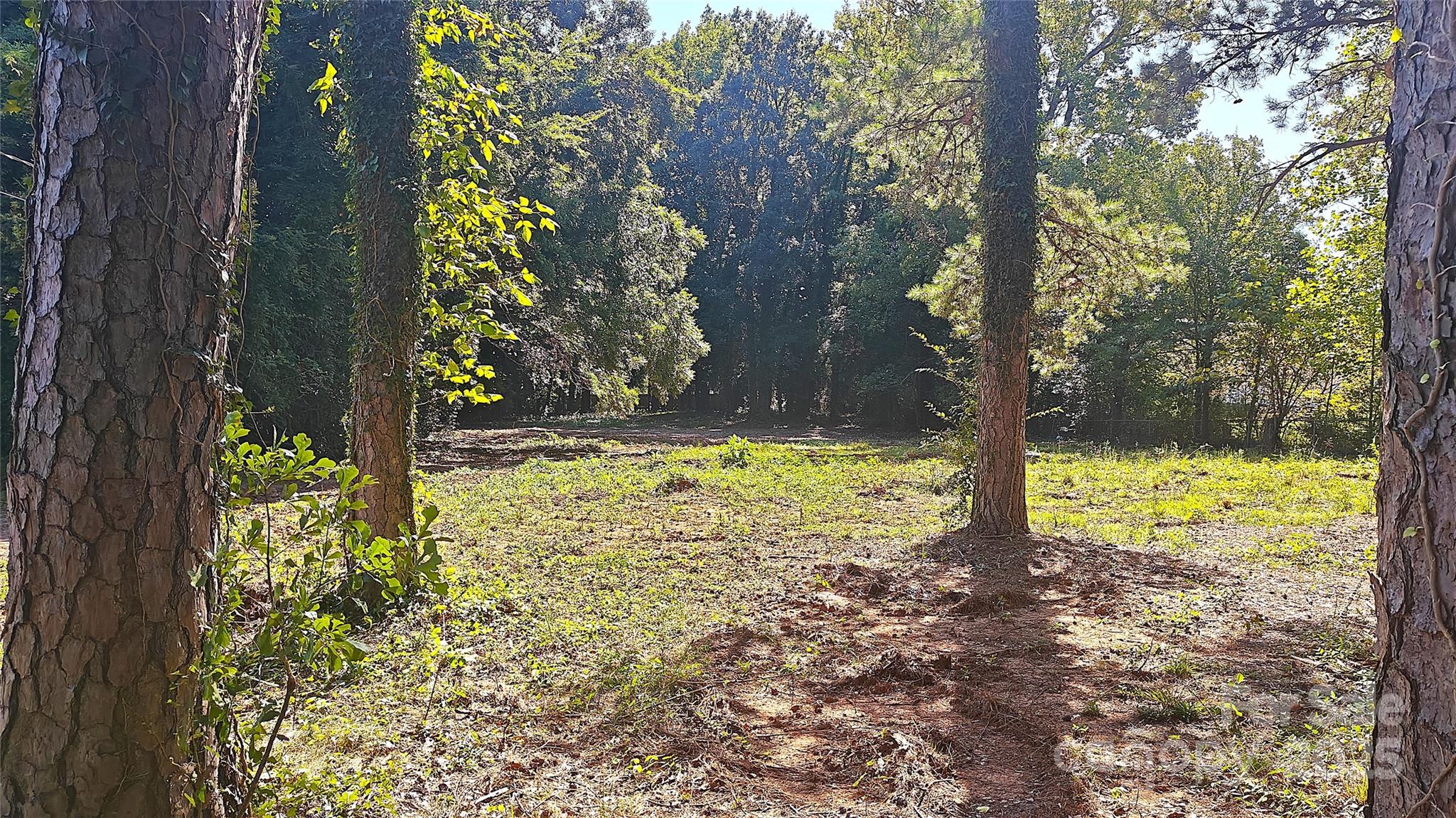 2217 Eastway Drive Charlotte NC 28205