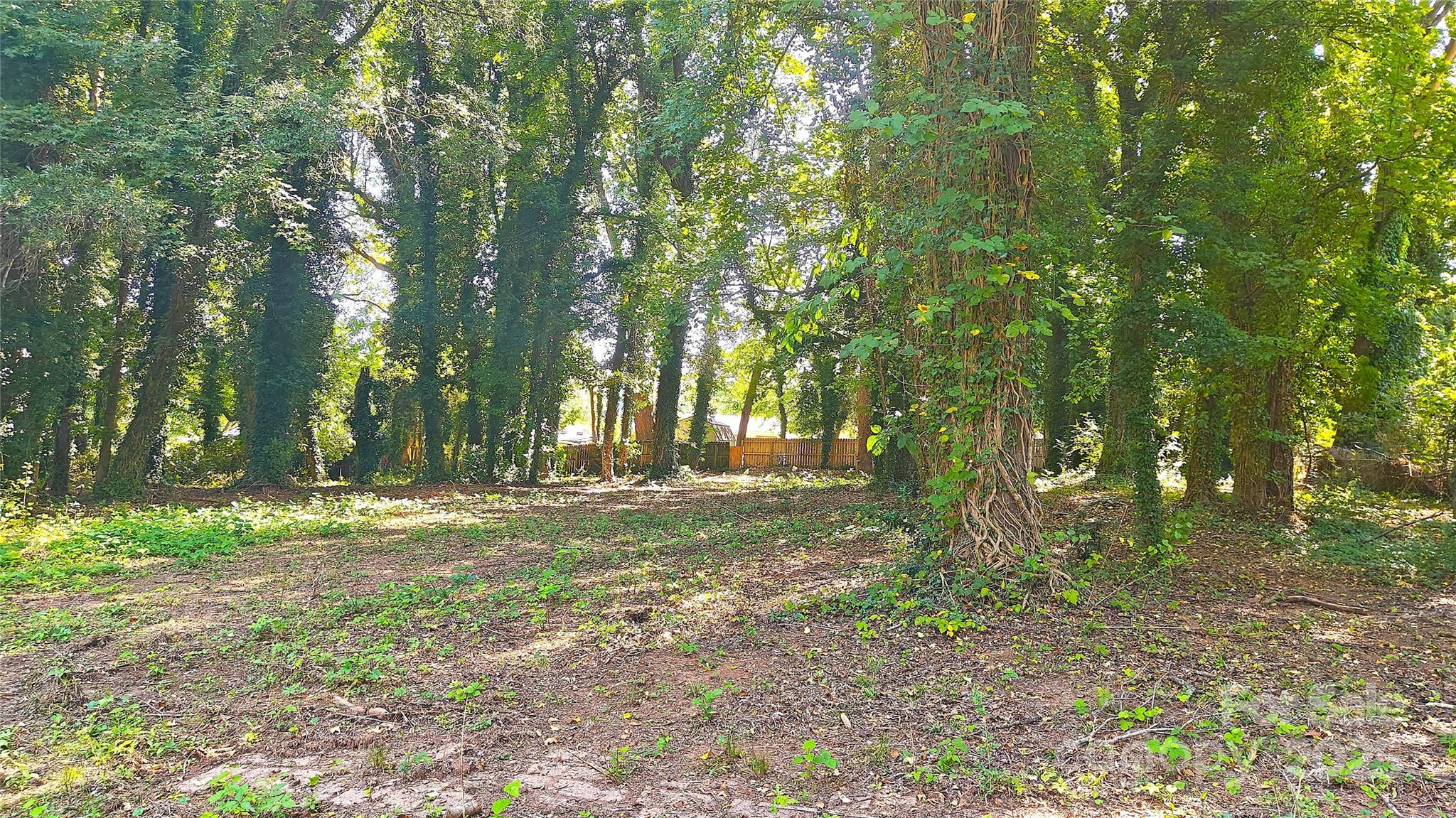 2217 Eastway Drive Charlotte NC 28205