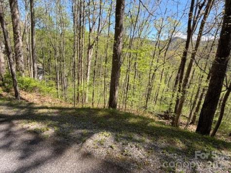 0000 Greenview Drive Maggie Valley NC 28751