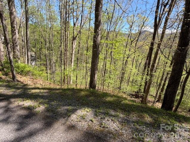 0000 Greenview Drive Maggie Valley NC 28751