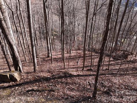 0000 Greenview Drive Maggie Valley NC 28751