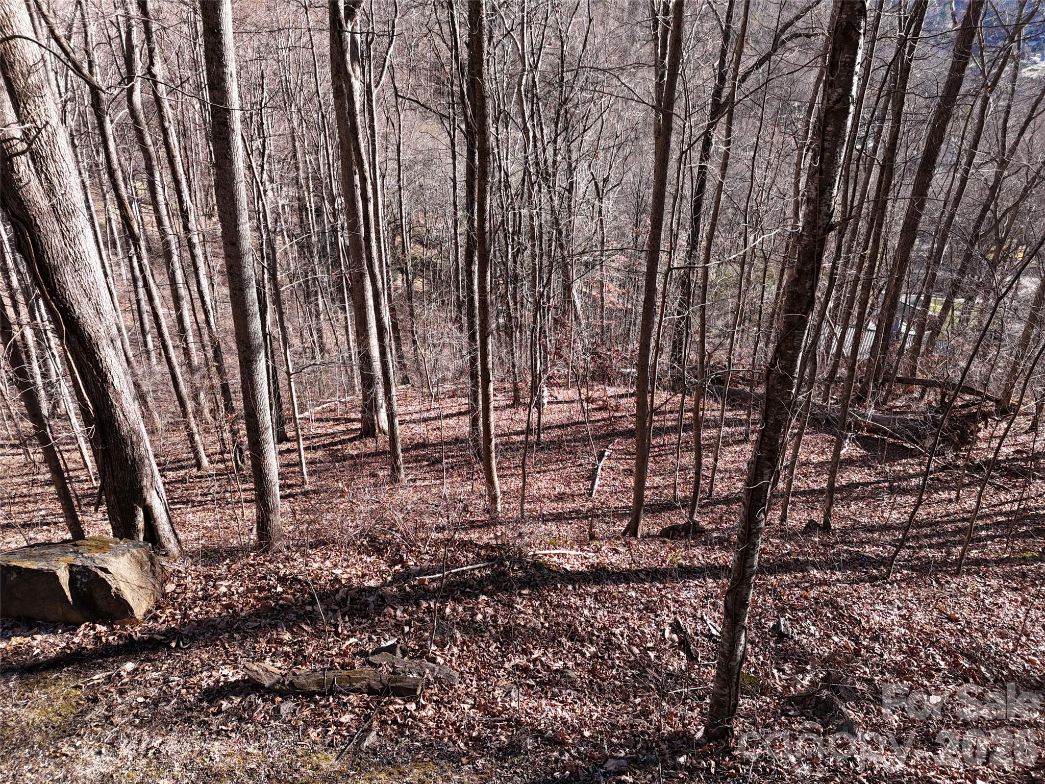 0000 Greenview Drive Maggie Valley NC 28751