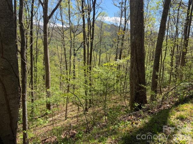 0000 Greenview Drive Maggie Valley NC 28751