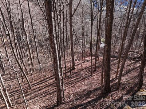 0000 Greenview Drive Maggie Valley NC 28751