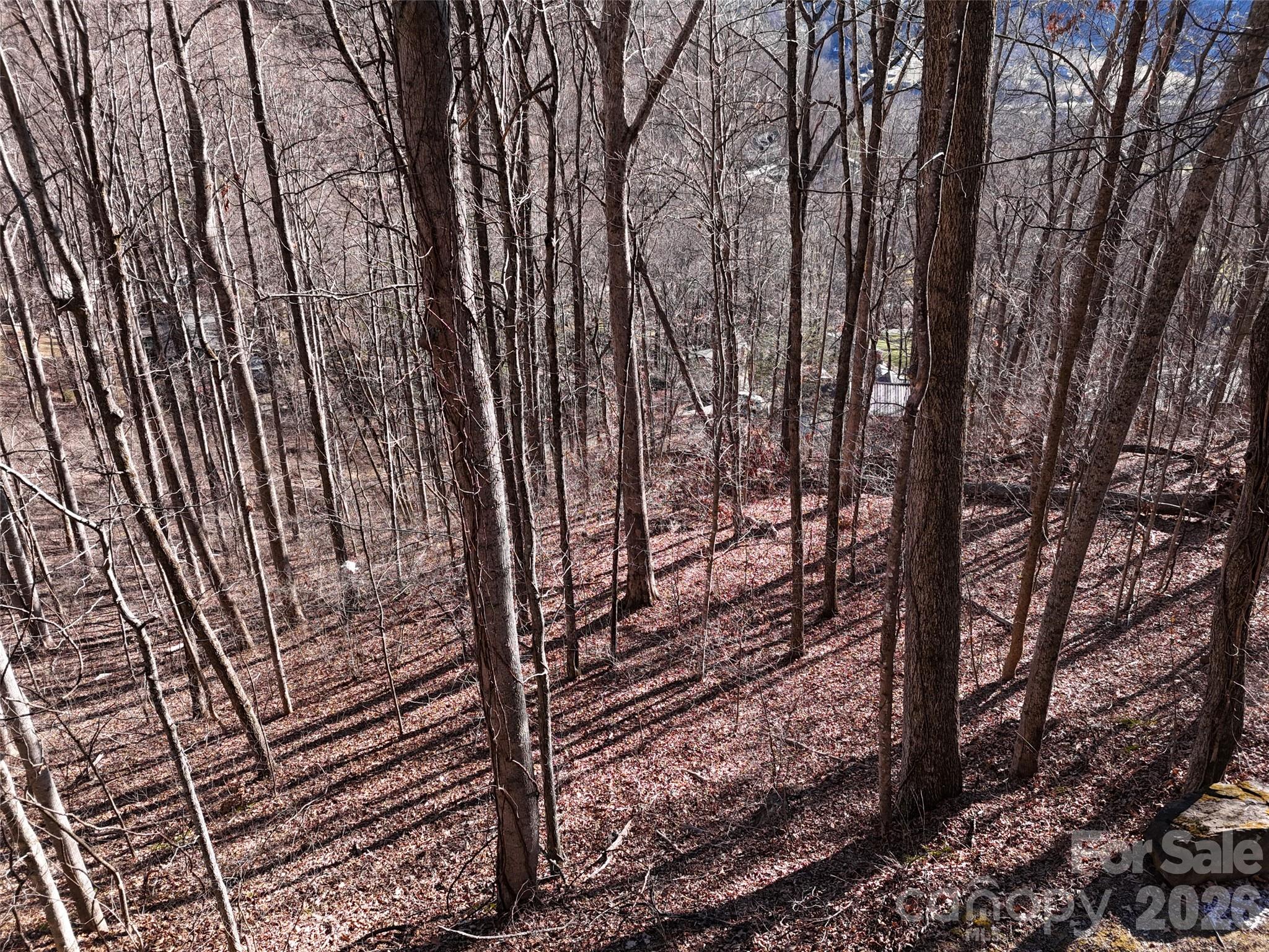 0000 Greenview Drive Maggie Valley NC 28751