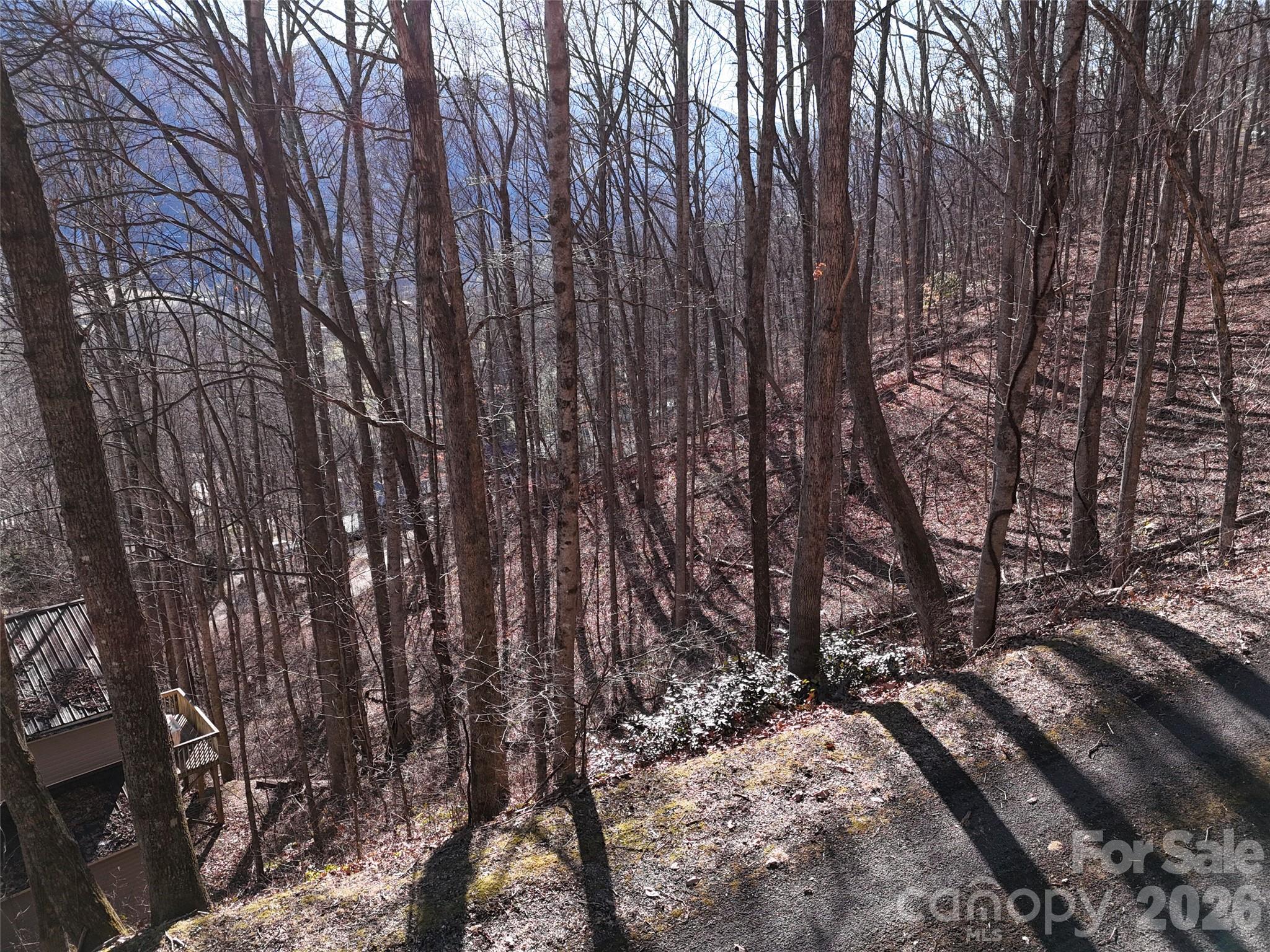 0000 Greenview Drive Maggie Valley NC 28751