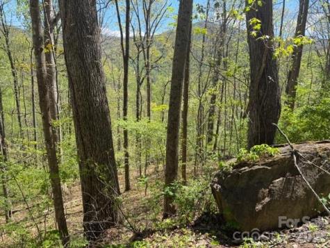 0000 Greenview Drive Maggie Valley NC 28751