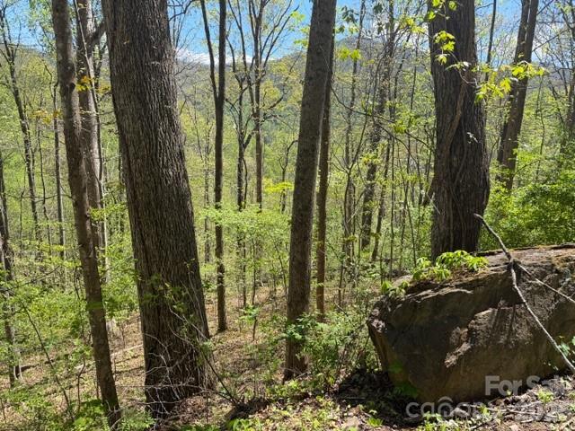 0000 Greenview Drive Maggie Valley NC 28751