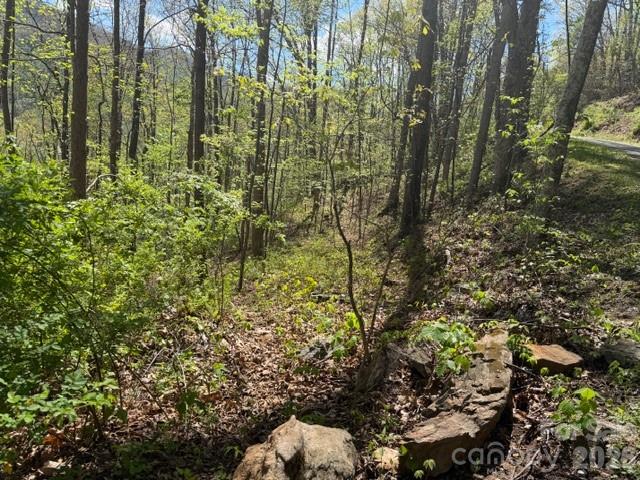 0000 Greenview Drive Maggie Valley NC 28751