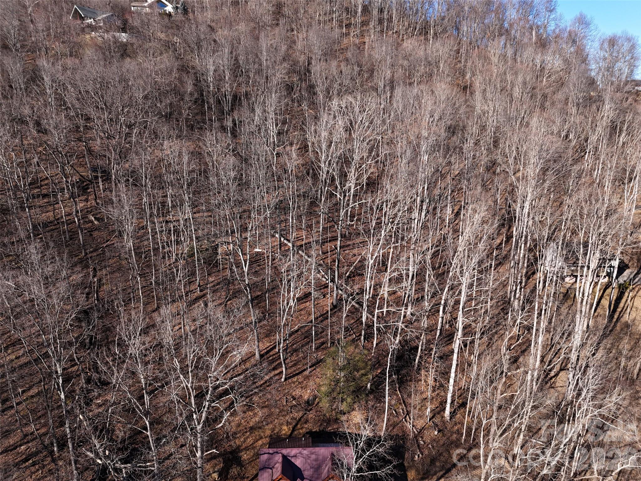 0000 Greenview Drive Maggie Valley NC 28751