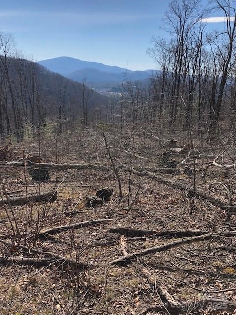 000 Butler Ridge Trail Hendersonville NC 28792